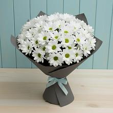 Букет цветов из:  Хризантемы #REPLACE_PRED# Кукарино