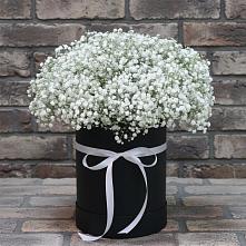 Цветочная композиция из Гипсофила в шляпной коробке в Кукарино